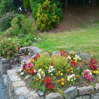 Summer bedding with steps leading to upper lawn.