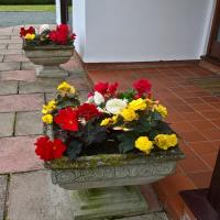 Seasonal planters outside the front door of the accommodation.