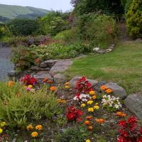Views of the landscaped garden outside the Mid Wales accommodation.