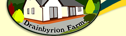 Drainbyrion Farm Self Catering Holiday Bungalow Mid Wales
